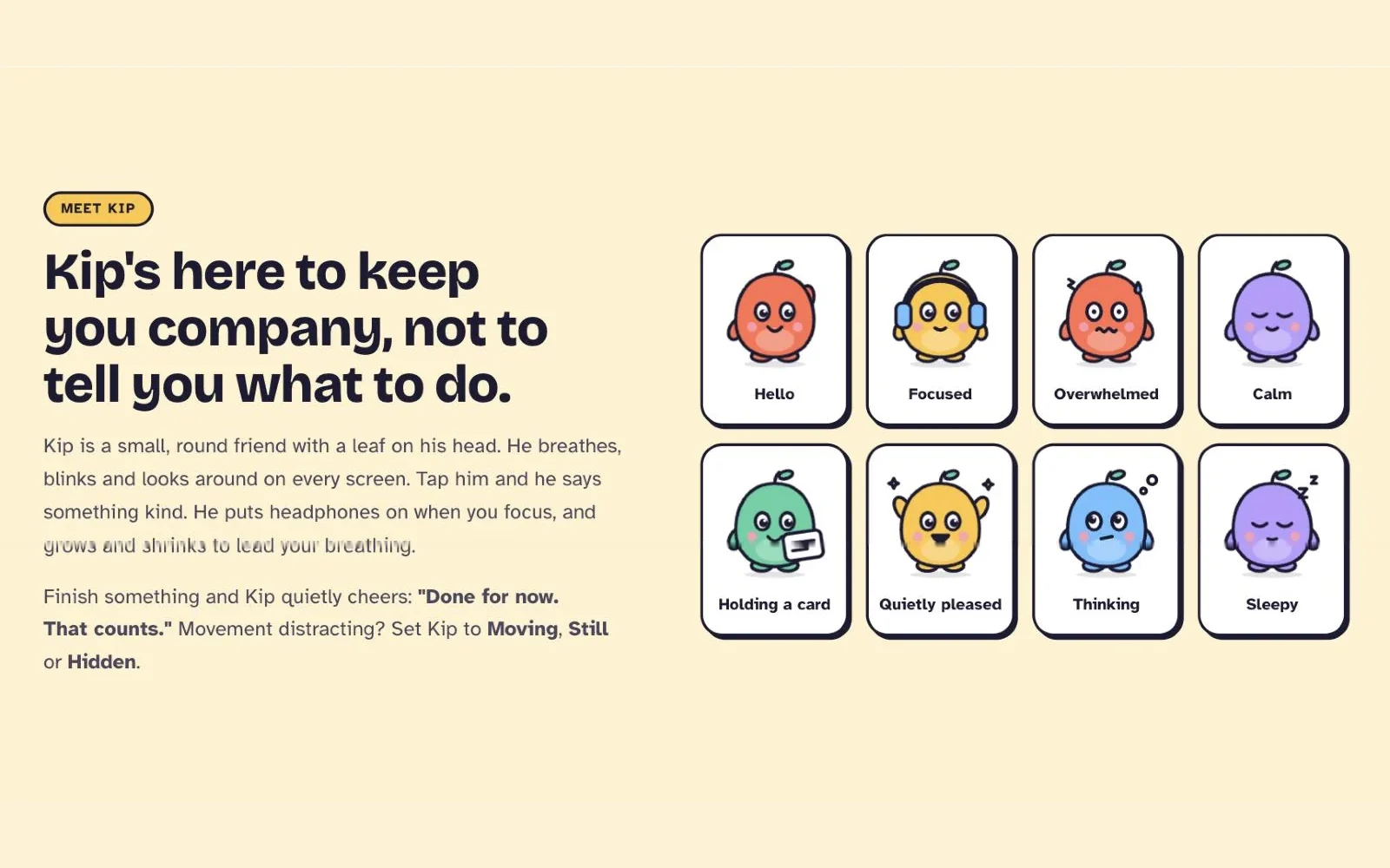 NeuroMade website: Meet Kip